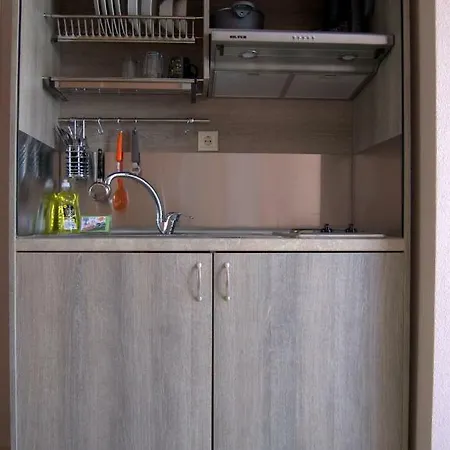 Apartment Gallen *